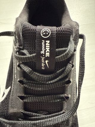 Zapatillas Nike Pegasus 40