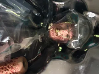 Figura Freddy Krueger Sideshow