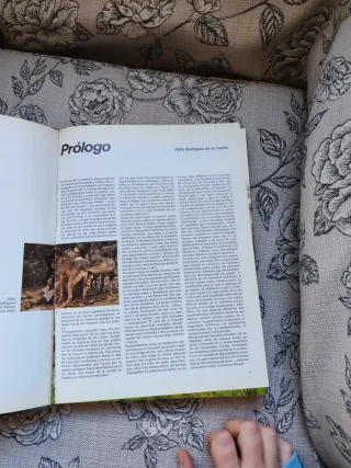 Etologia. Conducta Animal,Un Modelo Para El Hombre