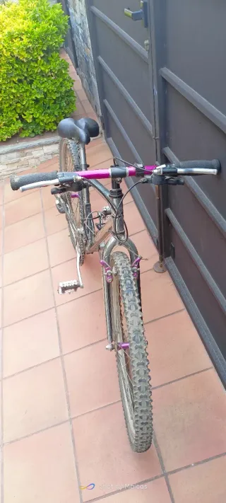 Bicicleta de montaña con marchas