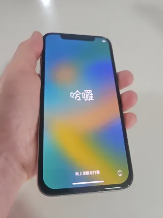 iPhone X 256GB Plata