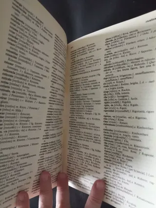 Dizionario spagnolo-italiano, italiano-spagnolo