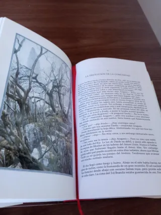 El Señor de Los Anillos (Spanish Edition)