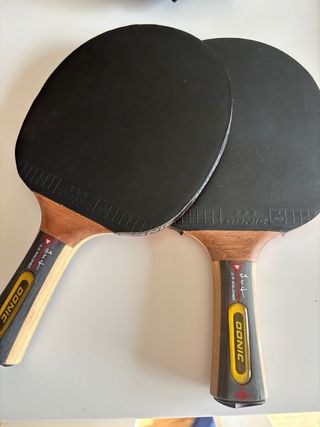Raqueta Ping Pong Donic JO Waldner