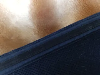 Pantalón Massimo Dutti Azul Marino Hombre