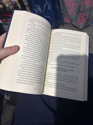 Rivales divinos (Spanish Edition)