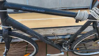 Bicicleta Specialized Crossroads XL