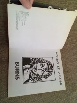 Cómic - Misterios de la carne - Burns