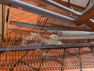 Estufa de gas cristal roto