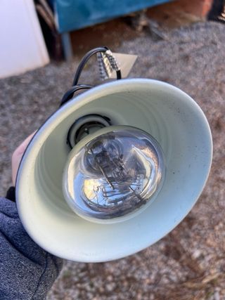 Terrario Exo Terra Negro