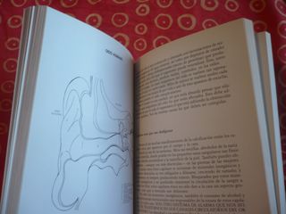 WATER CONNECTION EL AGUA TU MEJOR MEDICINA SALUD