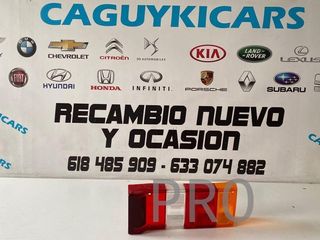 Tulipa Lancia y 10 LLA071 nuevo