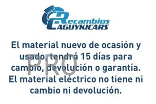 Tulipa Lancia y 10 LLA071 nuevo