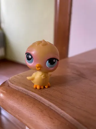 Littlest Pet Shop pollito