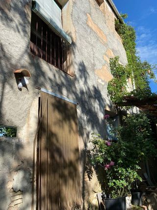 Finca rústica con olivos, riego y luz