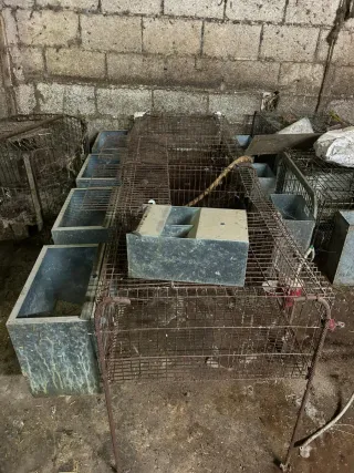 Jaulas Conejos y gallinas