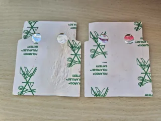 Ricambio Polaroid Polapulse