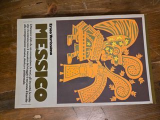 Il Messico - romanzo