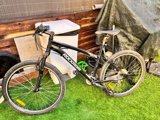 Bicicleta de montaña