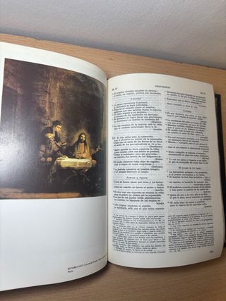 Sagrada Biblia - Editors - (Spanish Edition)