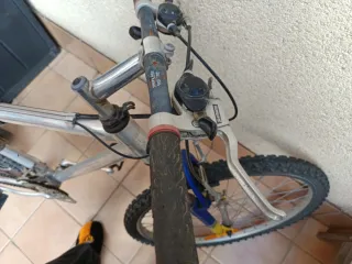 Bicicleta de montaña plateada