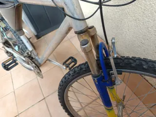 Bicicleta de montaña plateada