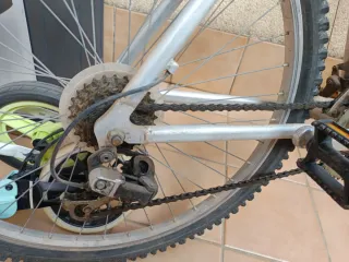 Bicicleta de montaña plateada