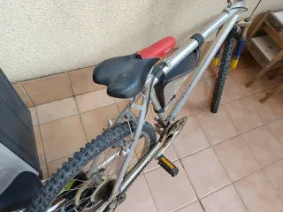 Bicicleta de montaña plateada