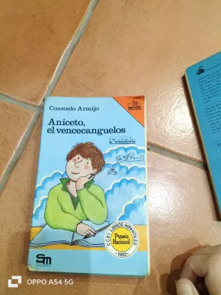 Lote 13 libros Barco de Vapor clasicos