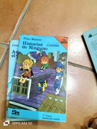 Lote 13 libros Barco de Vapor clasicos