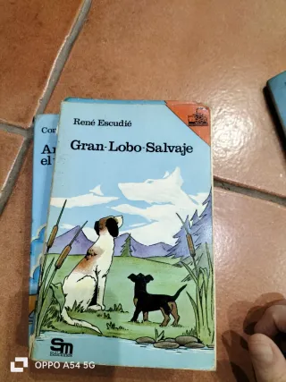 Lote 13 libros Barco de Vapor clasicos