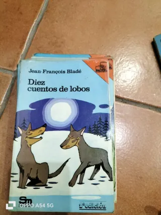 Lote 13 libros Barco de Vapor clasicos