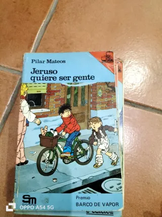 Lote 13 libros Barco de Vapor clasicos