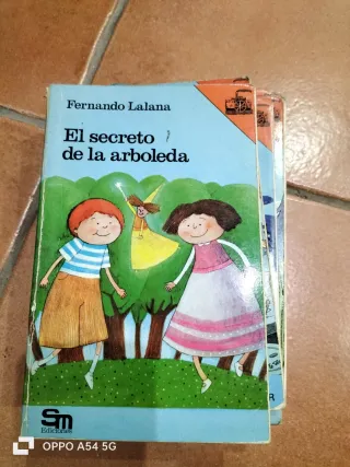 Lote 13 libros Barco de Vapor clasicos