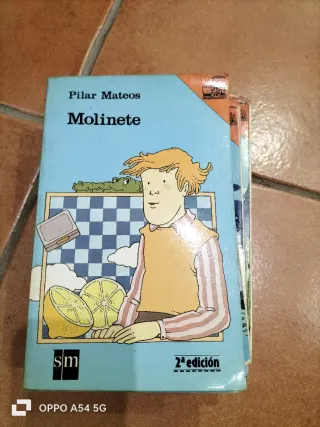 Lote 13 libros Barco de Vapor clasicos