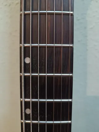 Harley Benton Amarok 7 cuerdas