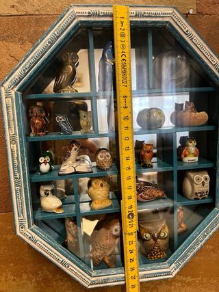 Bacheca con gufi, civette, buhos