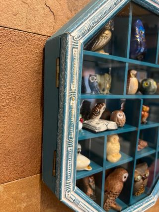 Bacheca con gufi, civette, buhos