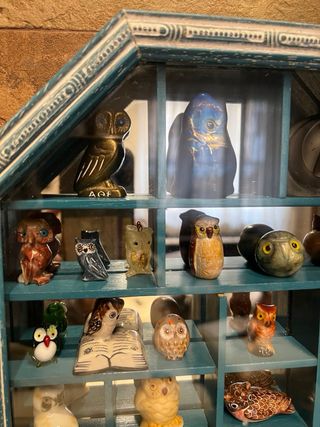 Bacheca con gufi, civette, buhos