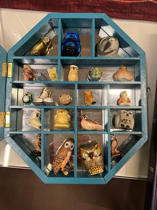 Bacheca con gufi, civette, buhos