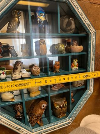 Bacheca con gufi, civette, buhos