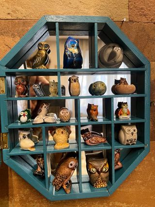 Bacheca con gufi, civette, buhos