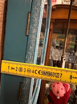 Bacheca con gufi, civette, buhos