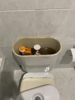 Fontanero electricista y reformas económicas