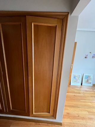 Puerta de armario de madera