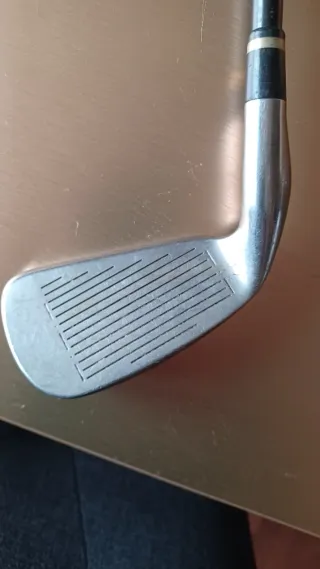 Palo de golf Cobra Hierro 6