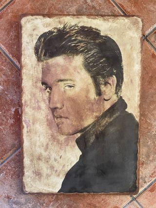Cuadro Decorativo Elvis Presley Terracota