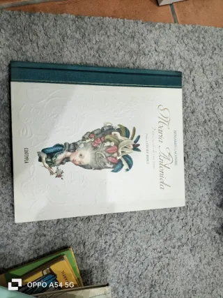 Maria Antonieta: Diario secreto de una reina