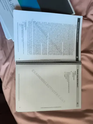 Examens selectivitat de llengua castellana