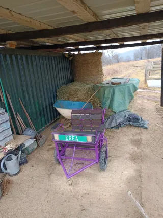 Carrito para pony o caballo mediano